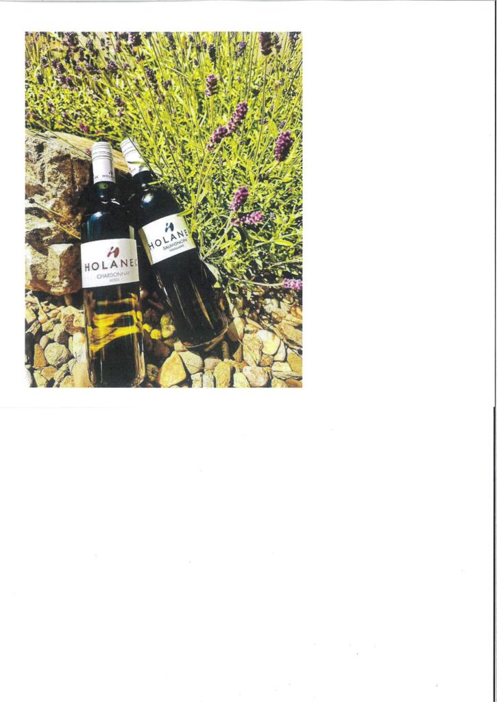 Vinařství Holánek