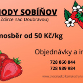 Prodej jahod Sobíňov