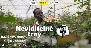 vystava_na_stromech_2025