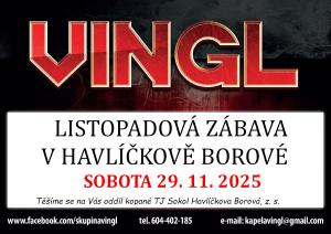 zabava_vingl_29112025